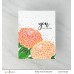 Altenew - Paint-A-Flower: Zinnia Magellan Rose Outline Stamp Set 