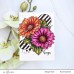 Altenew - Paint-A-Flower: Gerbera Revolution Outline Stamp Set 