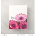 Altenew - Paint-A-Flower: Gerbera Revolution Outline Stamp Set 