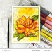Altenew - Paint-A-Flower: Waterlily Dahlia Outline Stamp Set 