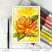 Altenew - Paint-A-Flower: Waterlily Dahlia Outline Stamp Set 