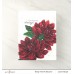 Altenew - Paint-A-Flower: Waterlily Dahlia Outline Stamp Set 