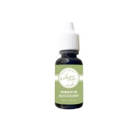 Catherine Pooler - Succulent Refill