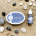 Catherine Pooler - Cove Blue Ink Pad