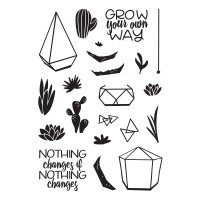 Catherine Pooler - Build-a-Terrarium
