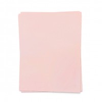 Concord and 9th - Ballet Slipper Cardstock (12 vellen)