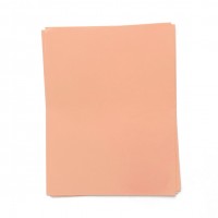 Concord and 9th - Grapefruit Cardstock (12 sheets)