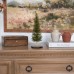 Concord and 9th - Crafted - Forest Fir - Small Tree