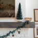 Concord and 9th - Crafted - Splendid Spruce - Large Tree