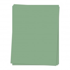 Concord and 9th - Eucalyptus Cardstock (12 Sheets)
