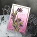 Concord and 9th - Kristina Werner - Long Line Lilies Stamp Set