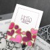 Concord and 9th - Kristina Werner - Jumble of Hearts Stencil Pack
