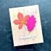 Concord and 9th - Kristina Werner - Calm Canopy Stamp Set