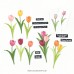 Concord and 9th - Tulip Festival Stamp Set