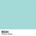 Copic Sketch - BG34 Horizon Green