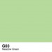 Copic Sketch - G03 Meadow Green