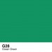 Copic Sketch - G28 Ocean Green