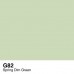Copic Sketch - G82 Spring Dim Green