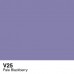 Copic Sketch - V25 Pale Blackberry