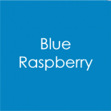 Gina K. Designs - Envelopes - Blue Raspberry (10 pack)