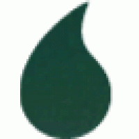 Gina K. Designs - Color Companions Re-Inker - Christmas Pine