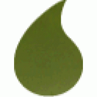 Gina K. Designs - Color Companions Re-Inker - Fresh Asparagus