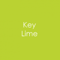 Gina K. Designs - Heavy Base Weight Card Stock - Key Lime (10 pack)
