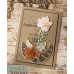 Gina K. Designs - Happy Life (stamp and die bundle)