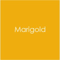 Gina K. Designs - Heavy Base Weight Card Stock - Marigold (10 pack)