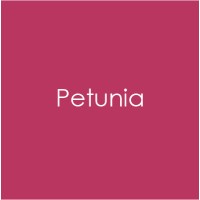 Gina K. Designs - Heavy Base Weight Card Stock - Petunia (10 pack)