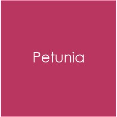 Gina K. Designs - Heavy Base Weight Card Stock - Petunia (10 pack)