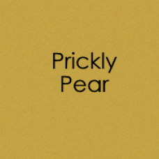 Gina K. Designs - Envelopes - Prickly Pear (10 pack)
