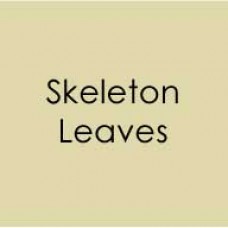 Gina K. Designs - Heavy Base Weight Card Stock - Skeleton Leaves (10 pack)