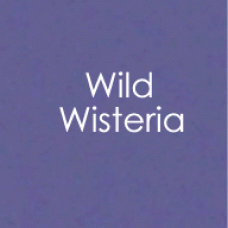 Gina K. Designs - Envelopes - Wild Wisteria (10 pack)