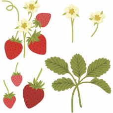 Honey Bee Stamps - Lovely Layers: Strawberries Honey Cuts