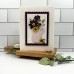 Honey Bee Stamps - Whimsical Spring Flowers Honey Cuts