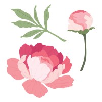 Honey Bee Stamps - Lovely Layers: Peony Honey Cuts