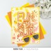Pretty Pink Posh - Fun In The Sun Shadow