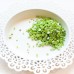 Pretty Pink Posh - Pistachio Pearls