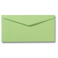 DL Envelope - 110 x 220 mm (slimline) - Appelgroen