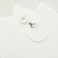 Spellbinders - Snowdrift Color Essential Cardstock 8.5 x 11” - 10 Pack