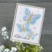 Spellbinders - Delicate Butterflies Etched Dies