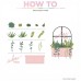 The Stamp Market - Succulents Die