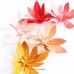 The Stamp Market - 3D Field Flower Dies