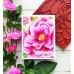 The Ton - Peony Close Up Cling Background