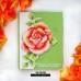 The Ton - Story Rose The Ton - Story Rose